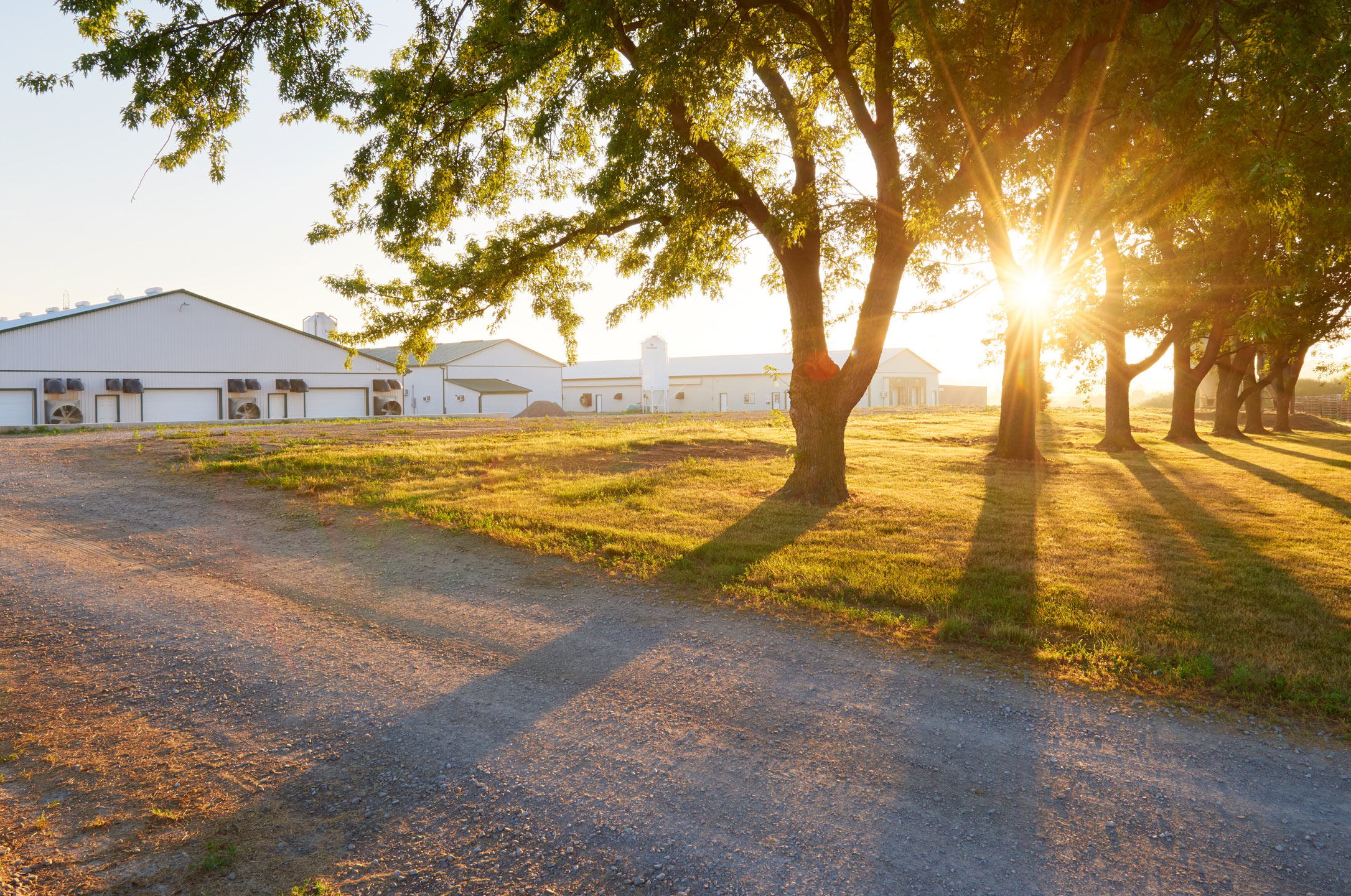 About Spring Creek Farms