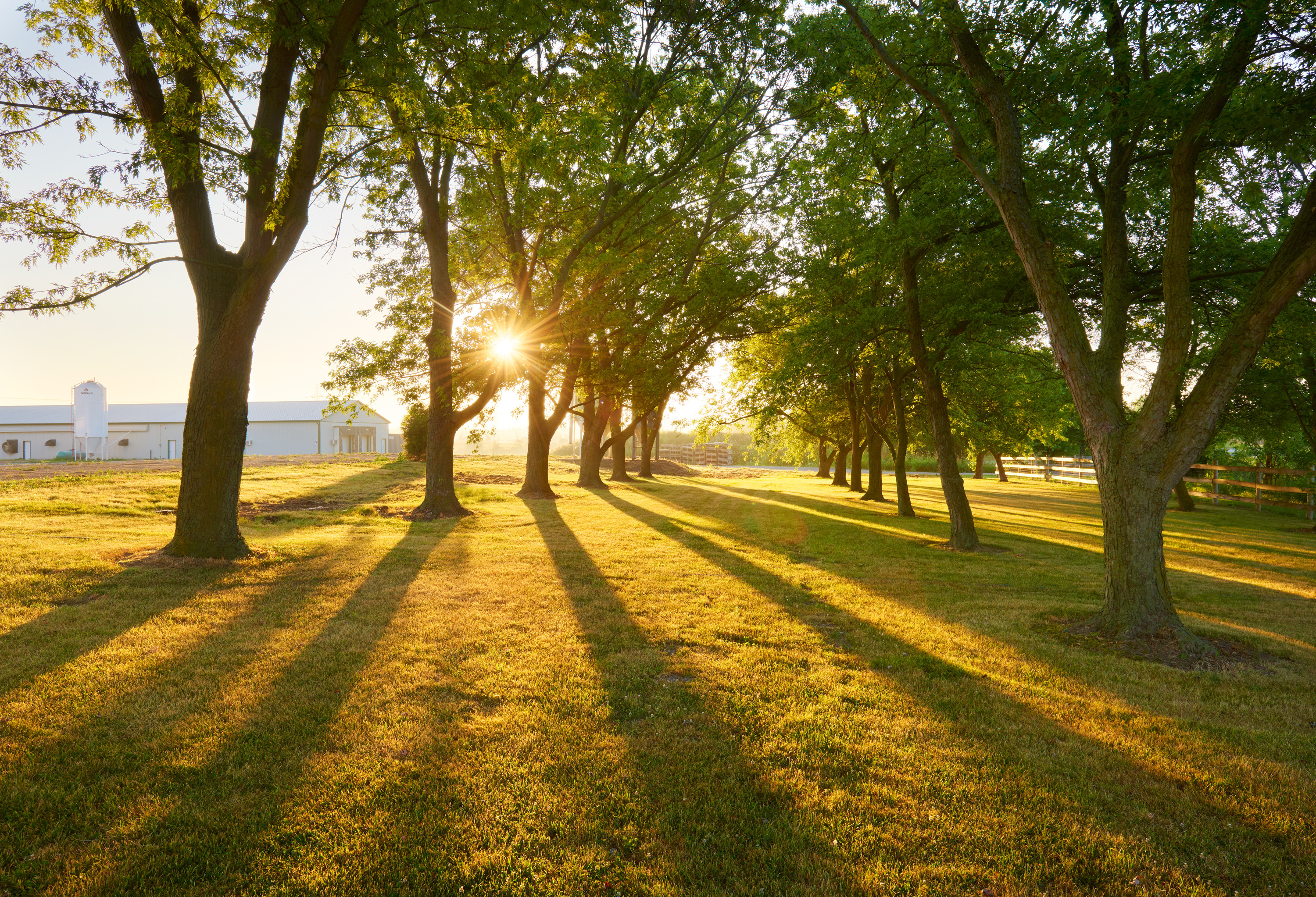 CC-SpringCreekQuailFarms_366