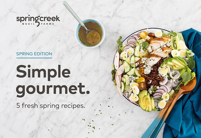 Recipe Book