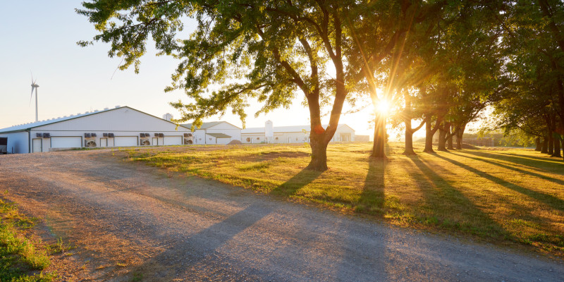 How Your Eggs Get From Our Farm to Your Table