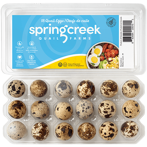 Fresh Quail Eggs