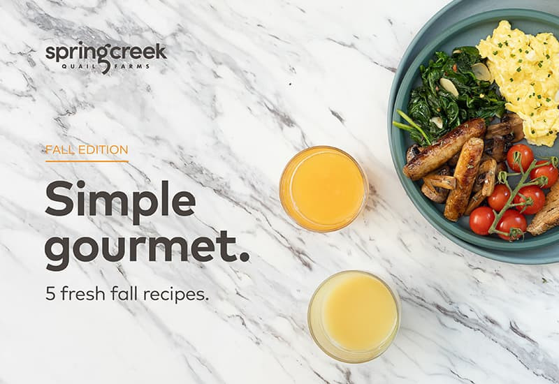 Recipe Book