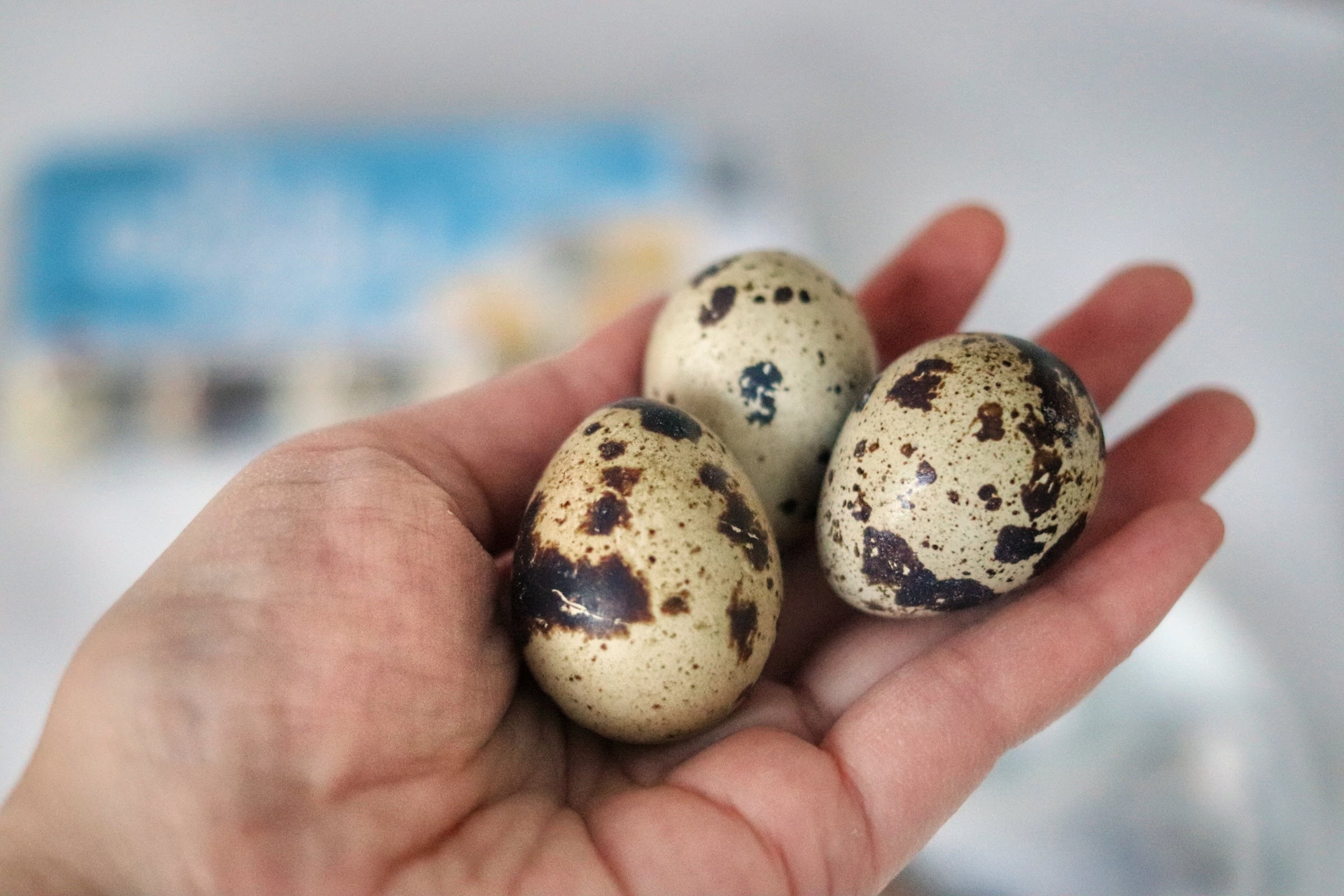 20210203045600_IMG_3747-01