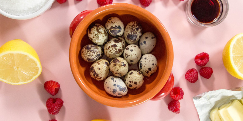 Where Can I Buy Quail Eggs?